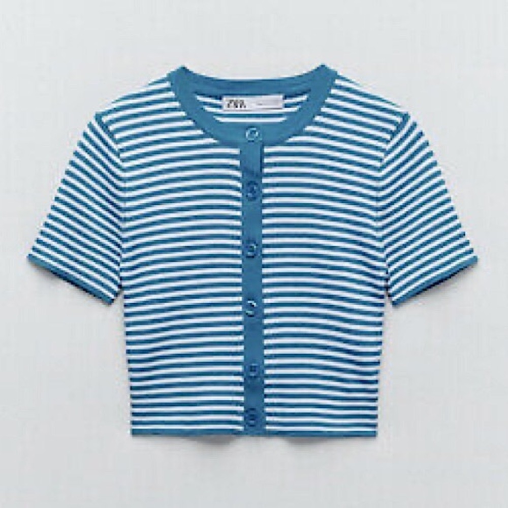 Zara Striped Crop Top